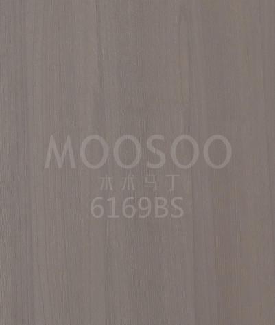 Planker i naturlig Paulownia-tre